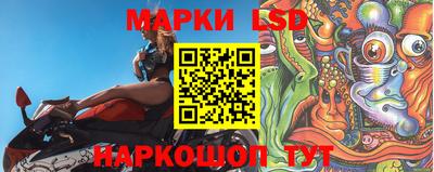 прущие грибы Нальчик