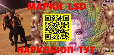 прущие грибы Нальчик