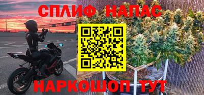 прущие грибы Нальчик